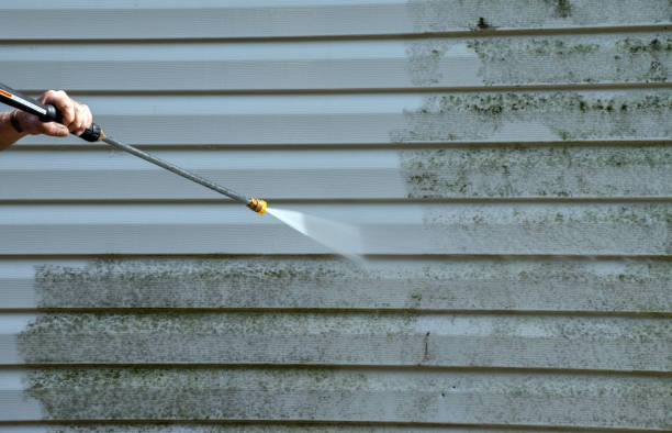 Best Gutter Cleaning  in Kingsville, TX